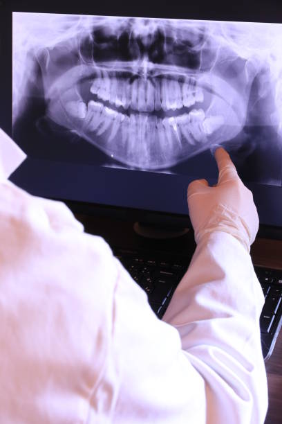 Best Emergency X-Rays and Diagnostics in Plymouth, NC